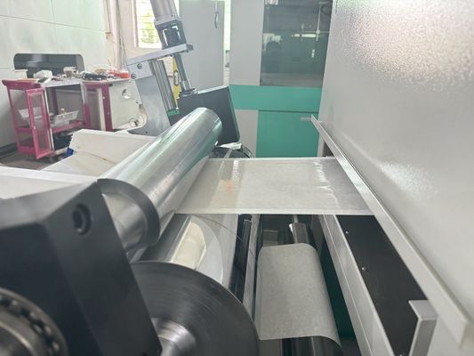 Linia produkcyjna szkrabki do filmu do zwierząt domowych z taśm medycznych