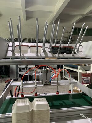 Product Page: Automated One-Pass Digital Printer for Molded Pulp Products with Integrated Loading & Curing