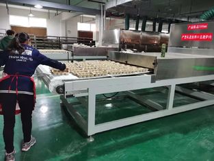 Przemysłowa suszarka do owoców i ziół na bazie mikrofal | Wysoka wydajność i zachowanie jakości