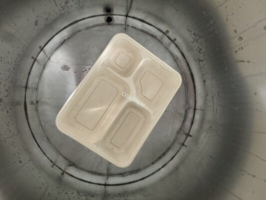High-Speed Food Safety Tableware Tray Bowl Internal Coating Production Line For Pulp Molding