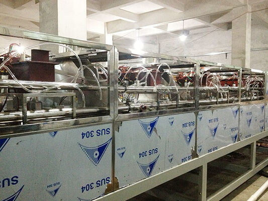 Continuous Microwave Drying Equipment for Herbs and Fruits | Energy Saving & Eco-Friendly