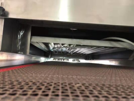 UV-C Sterilization Tunnel for Transparent Food Packaging & Dried Fruit - Conveyorized Inline System